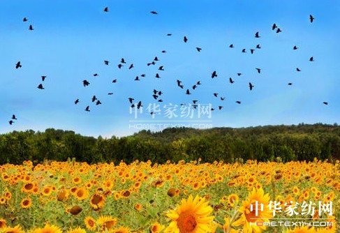 ����һ��ȥ���_��˹���s����