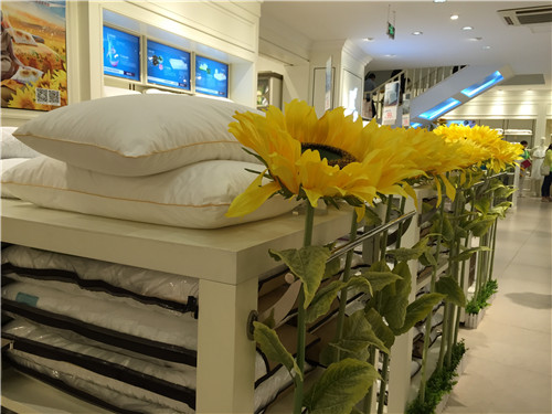 �Pʢ�Ҽ�2015���ﶬ��Ʒ�l(f��)����(hu�� )�����_(k��i)