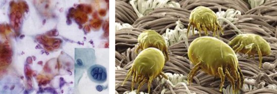 ���_�m�Ҽ�������˯��������˯��������