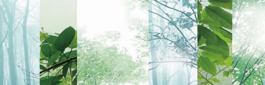 ����˯����ه(l��i)��Violet���C�Ҽ�