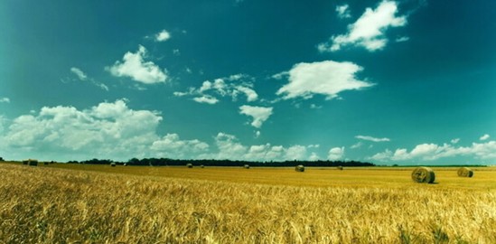 ���_�m�Ҽ���ɭ��������˯�ߡ����C���Сɭ��