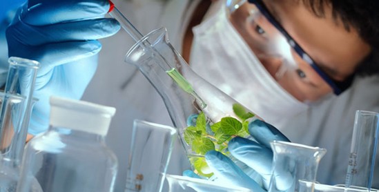 ���_�m�Ҽ���ɭ��������˯�ߡ����C���Сɭ��