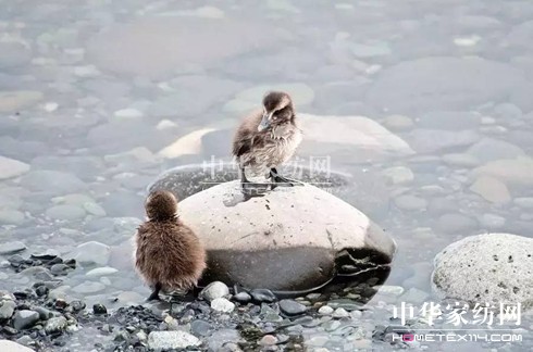 ������27�f(w��n)�I(m��i)�²���Ҽ�"����"��"����"��