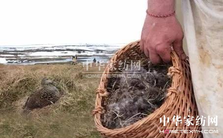 ������27�f(w��n)�I(m��i)�²���Ҽ�"����"��"����"��