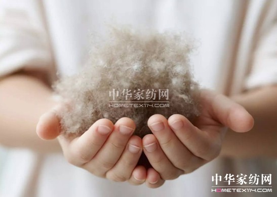 ������27�f(w��n)�I(m��i)�²���Ҽ�"����"��"����"��