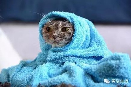 ԡëԌëҲv