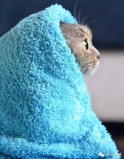 ԡëԌëҲv