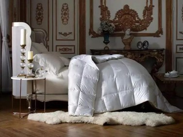 19�f(w��n)8���I(m��i)����Ҽ������������ފy��ĺ����Ԇ���