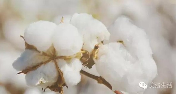 ��ԡ���Փһ�lë�����������B��