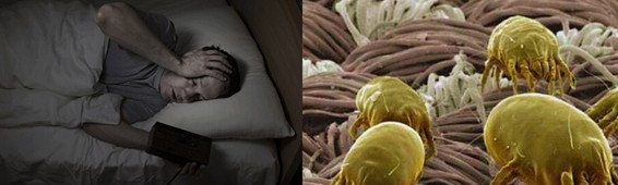 ���z�R�����_(k��i)�����B(t��i)���ܼҾ�4.0�r(sh��)��