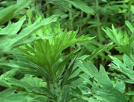 ���ľӼ�����ٛ���x�Ҽ����������B����