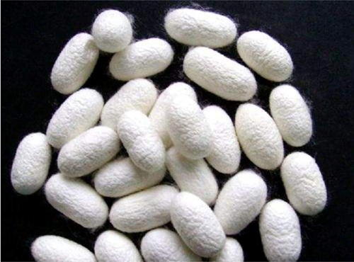 ͬ���ǽz�����W�_���{ʲô���f(shu��)������(��i)�R����