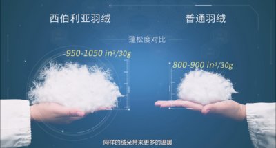 ˮǼҼZq--(li)ԘO؅^ıů