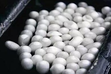 Ϧ�̽z�I�W(xu��)�á������f(shu��)