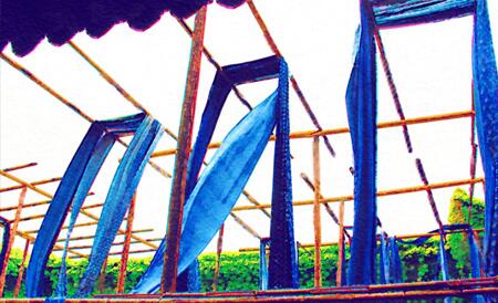 ˯�����Ҽ���Ȼֲ��ӡȾ��ˇ