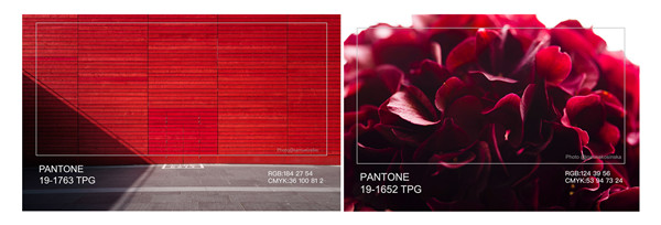 Їɫf(xi)(hu )l(f)Ҿɫɫt