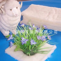 ��q����Ƭ