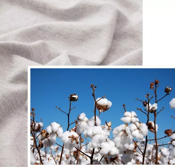 COMOLIVINGƳ~˯ߵęn