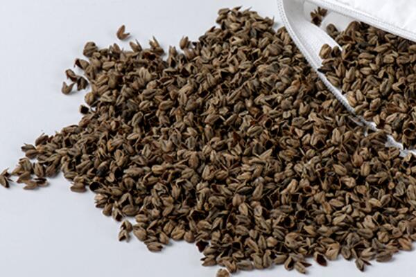 (zh)ȻѻҼĸɽwsߴ﷦