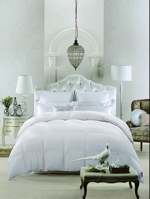 ƷZq˜ʳ_쿴I(mi)ı_˛](mi)