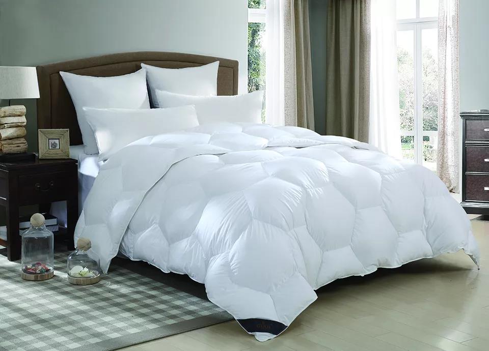 ƷZq˜ʳ_쿴I(mi)ı_˛](mi)