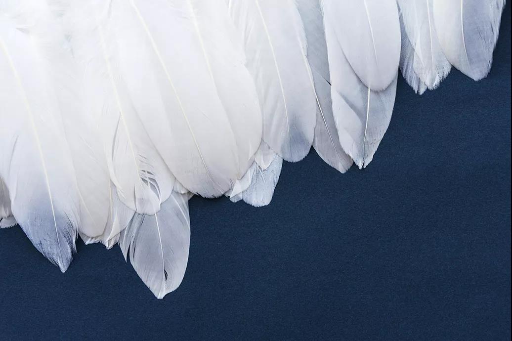 ƷZq˜ʳ_쿴I(mi)ı_˛](mi)